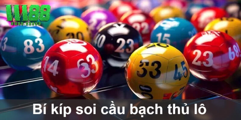 Đôi nét về bạch thủ lô